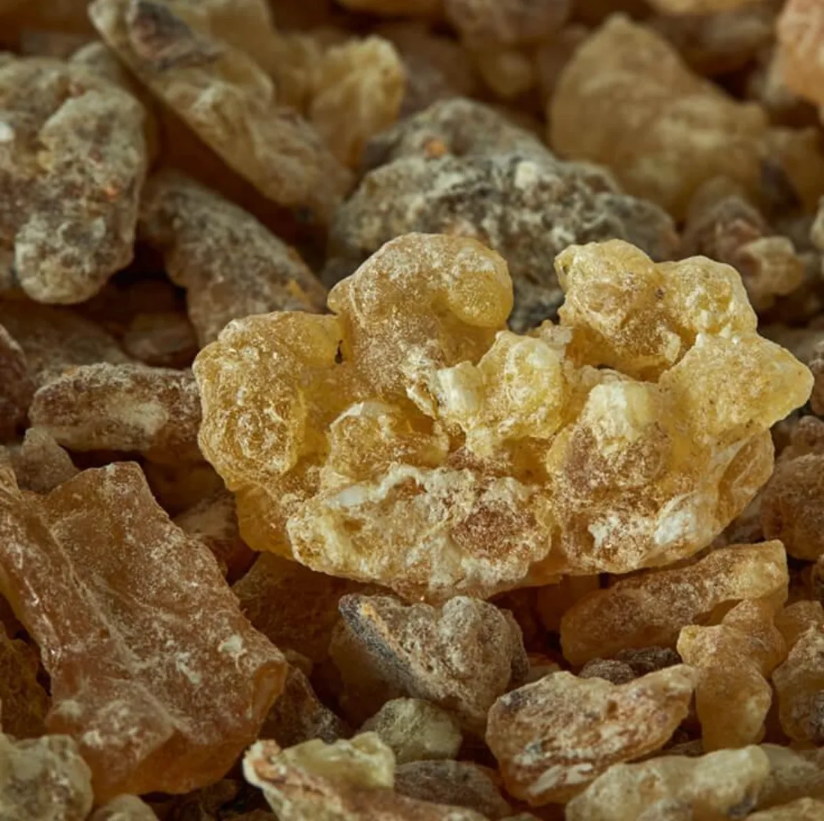 Close-up of premium natural frankincense resin tears in warm amber tones