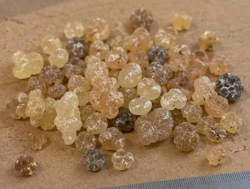 Beeyo frankincense tears (Boswellia carterii) from Somalia, colour-sorted